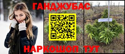 крисы Тверь