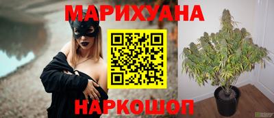 крисы Тверь